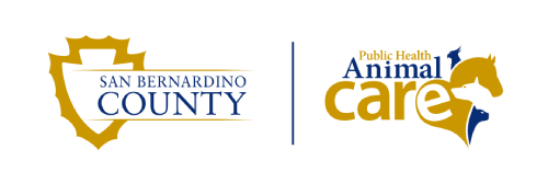 the City of San Bernardino
